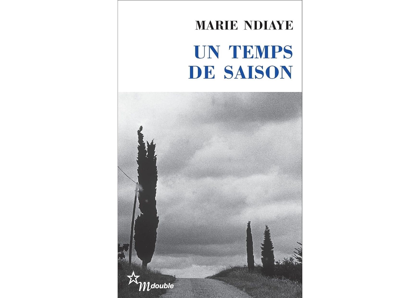 Un temps de saison - Marie NDIAYE