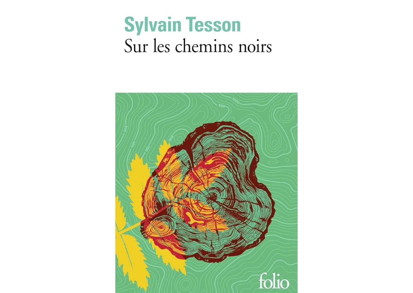 Sur les chemins noirs - Sylvain TESSON