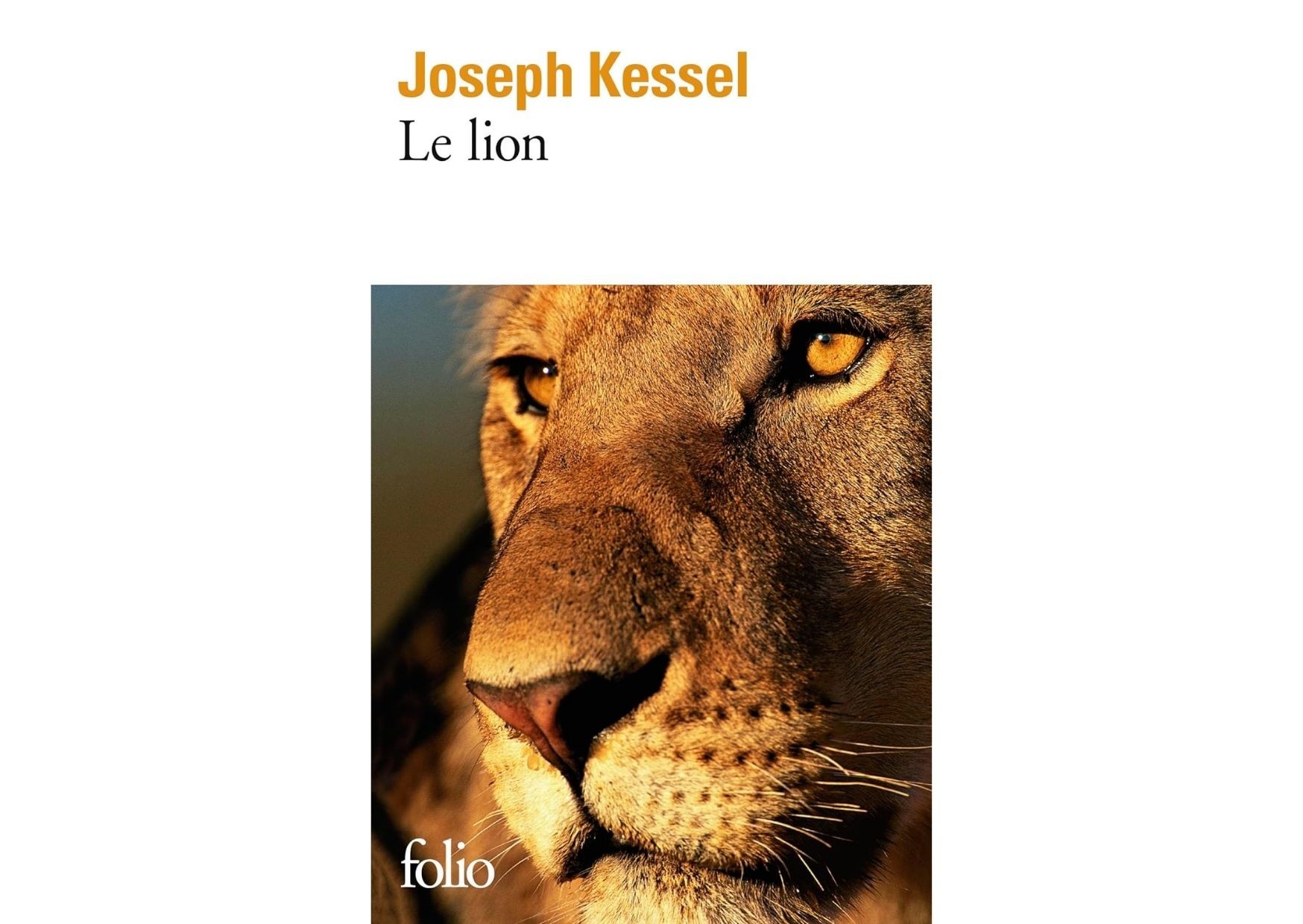 Le lion - Joseph KESSEL