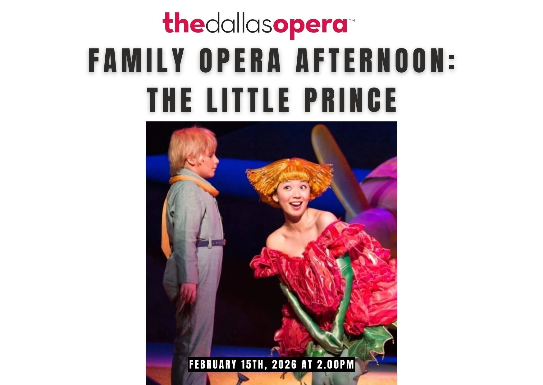 An Afternoon at the Opera – The Little Prince Family Opera